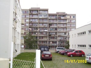 The Stephens Neighborhood