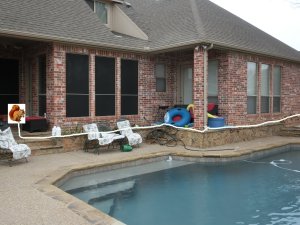 SquirrelBoogie_120814