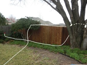 SquirrelBoogie_120814b