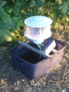 This is what the mosquito gathering apparatus looks like when collecting.